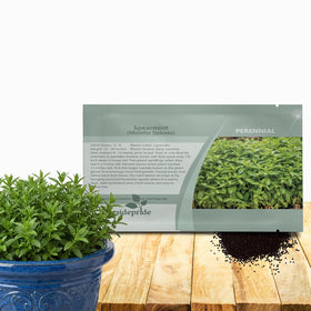 Outsidepride spearmint seeds packaging for easy gardening and fresh flavor.
