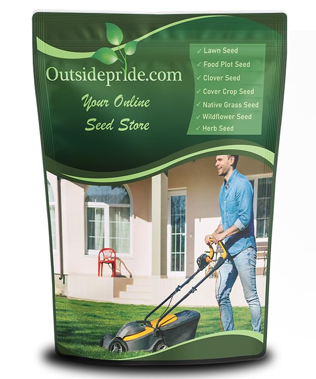 Outsidepride SPF-30 hybrid bluegrass seeds bag ready for quick lawn establishment.