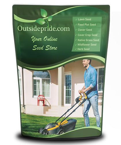 Outsidepride SPF-30 hybrid bluegrass seeds bag ready for quick lawn establishment.