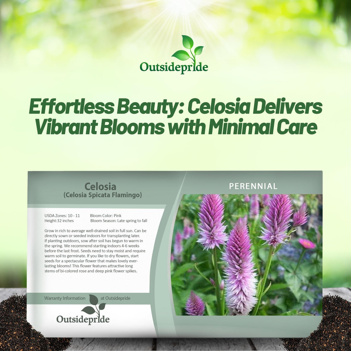 Outsidepride Spicata Celosia dried bouquet preserves color for décor.