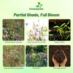 Outsidepride spring bloom wildflowers display bright color in cool spring gardens.