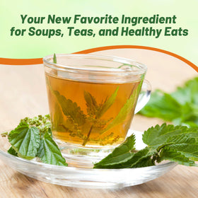 Outsidepride stinging nettle leaves illustrate iron-rich greens for cooking ideas.