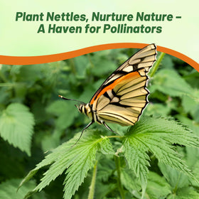 Outsidepride stinging nettle seeds pollinator garden feature supports bumblebees and ecosystem health.