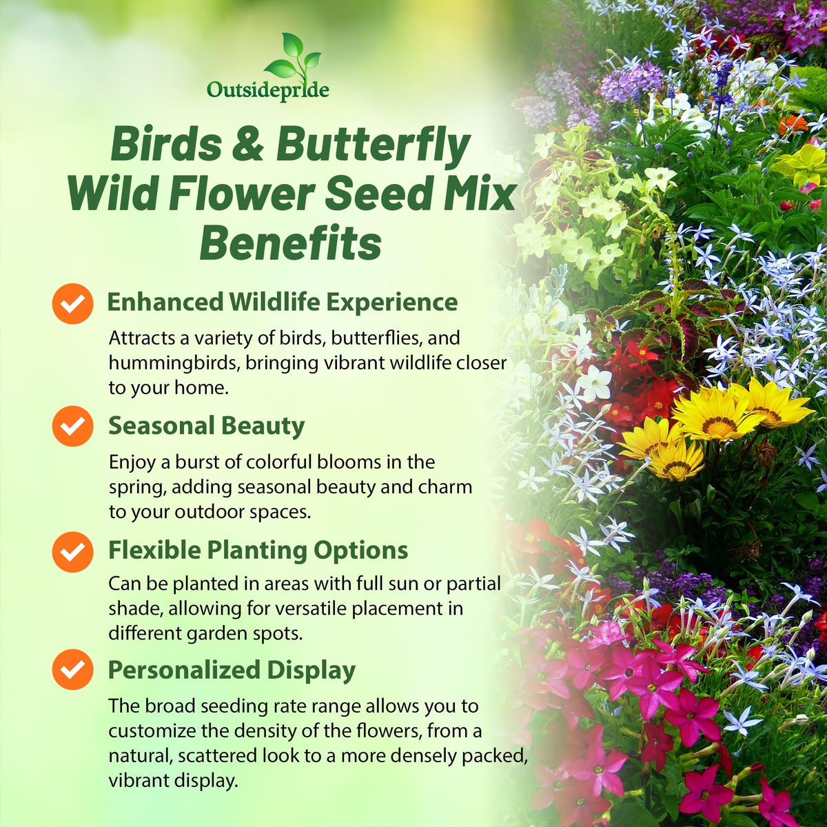Outsidepride sun-shade-wildflowers thrive across zones 3–10