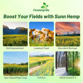 Outsidepride Sunn Hemp Seeds bag back view, ideal for soil improvement and extension use