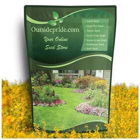 Outsidepride Sunn Hemp Seeds pack front view, ideal for cover cropping and soil protection