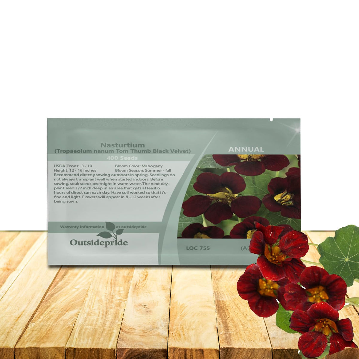 Outsidepride Tom Thumb Black Velvet nasturtium blooms in compact mounds for borders