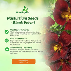 Outsidepride nasturtium for containers highlights edible flowers and color