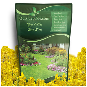 Outsidepride Trophy Forage Rapeseed field view for fall planting and deer forage.