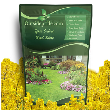 Outsidepride Trophy Forage Rapeseed field view for fall planting and deer forage.