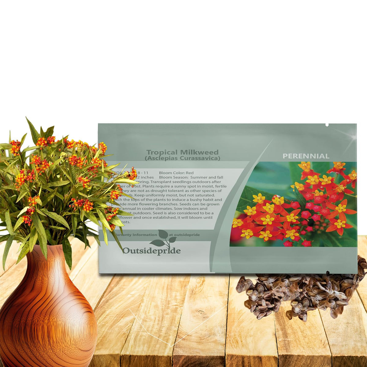 Outsidepride Tropical Milkweed Seeds bloom closeup showing pollinator-friendly color