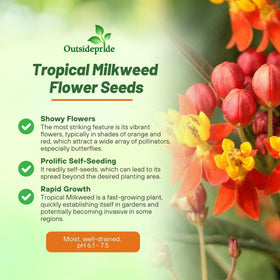 Outsidepride Tropical Milkweed Seeds flowers closeup with monarch-friendly nectar