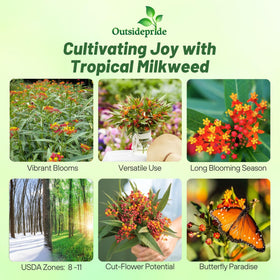 Outsidepride Tropical Milkweed Seeds planting in soil for easy garden setup