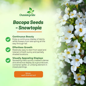 Outsidepride White Blutopia Bacopa cascading blooms in balcony pots.