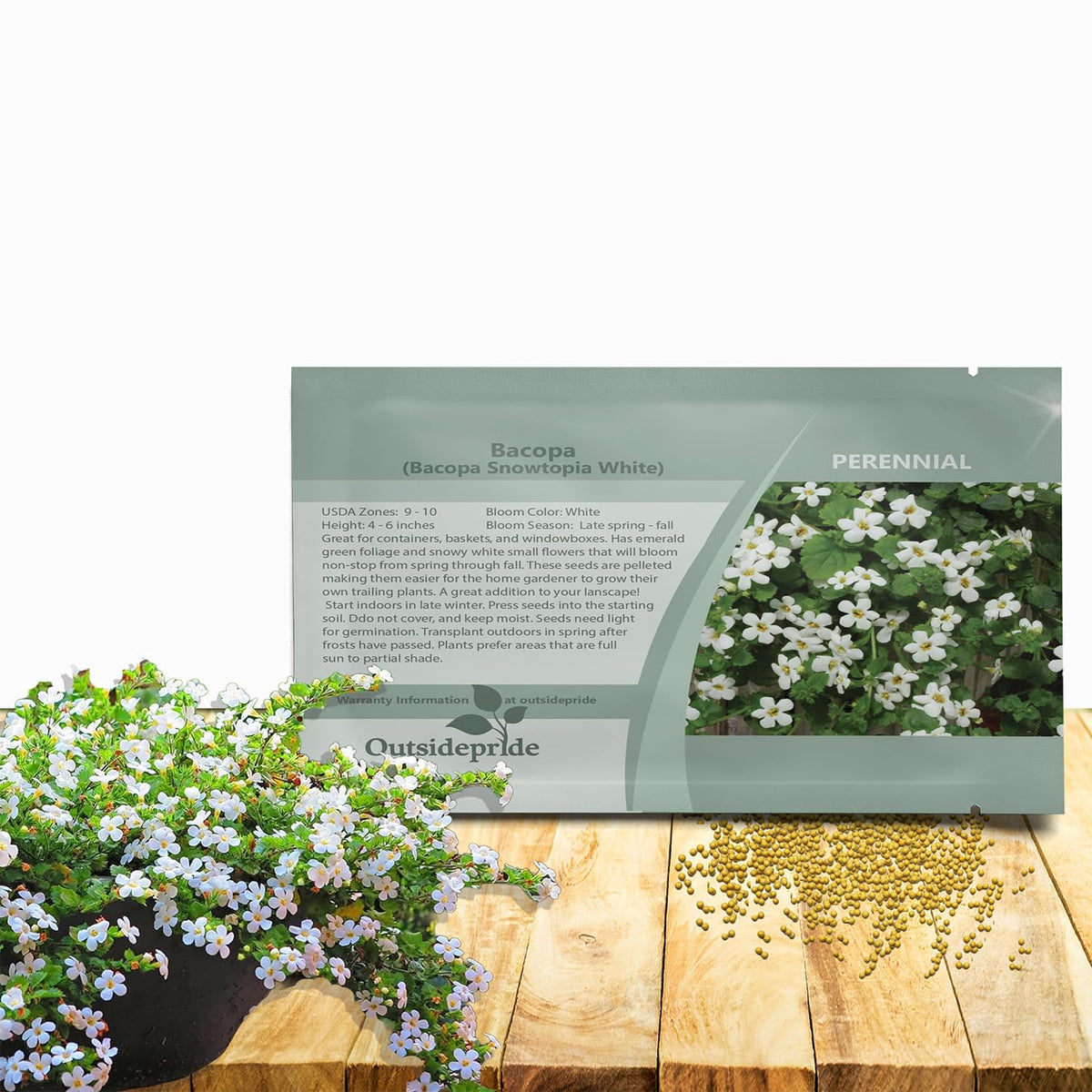 Outsidepride White Blutopia Bacopa trailing growth for containers and hanging baskets.