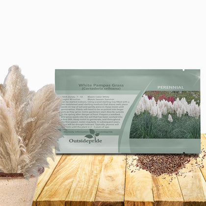 Outsidepride White Pampas Grass Seeds create dramatic 80-inch height for privacy screens and borders.