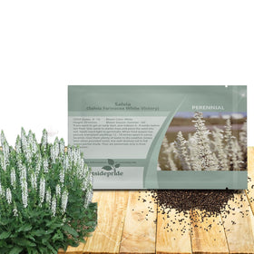 Outsidepride White Victory Salvia seeds pack ready for planting in beds and borders for color.