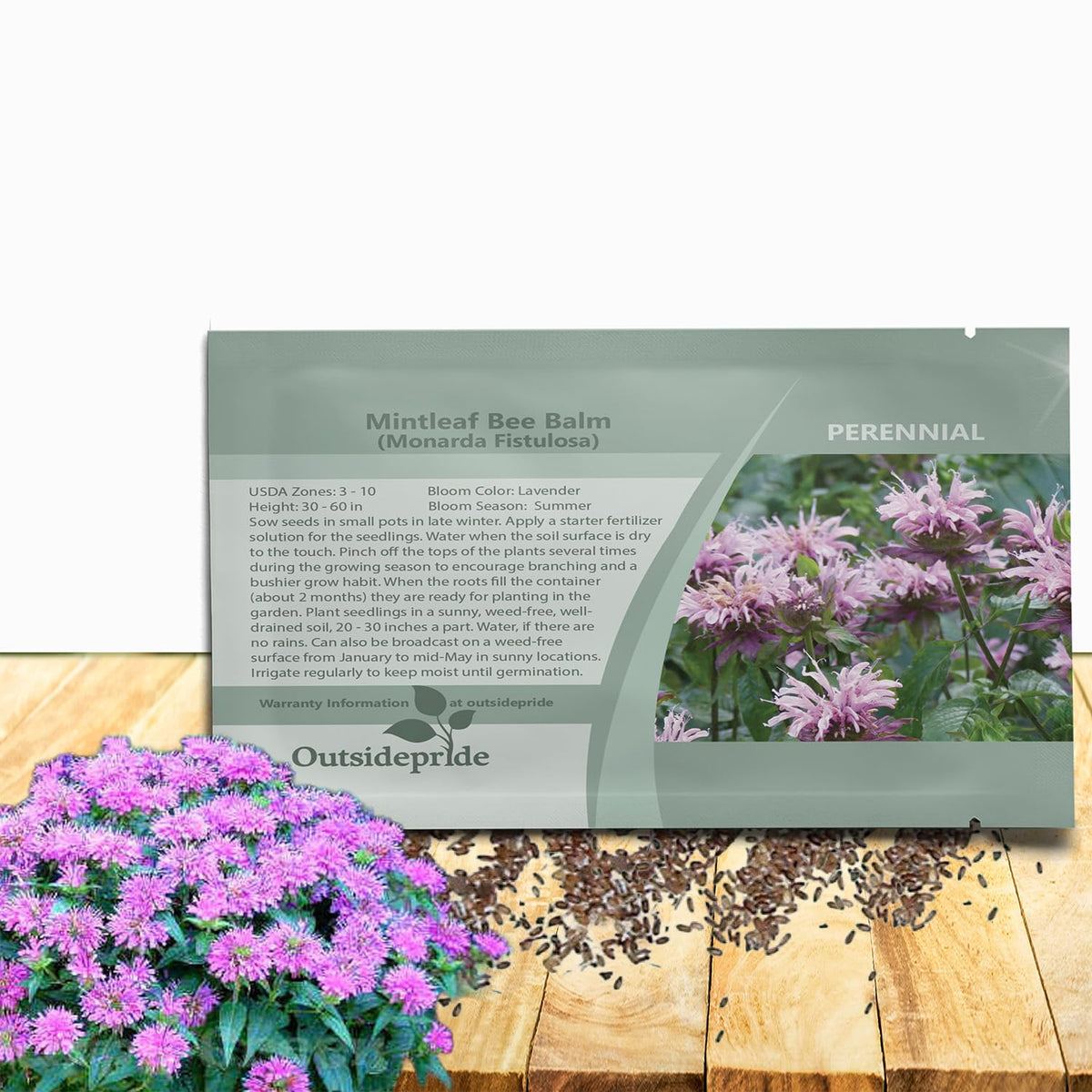 Outsidepride Wild Bergamot seeds pack for easy perennial planting