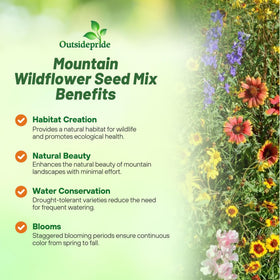 Outsidepride wildflowers-blooming-mountain-garden shows thriving blossoms in rugged terrain.