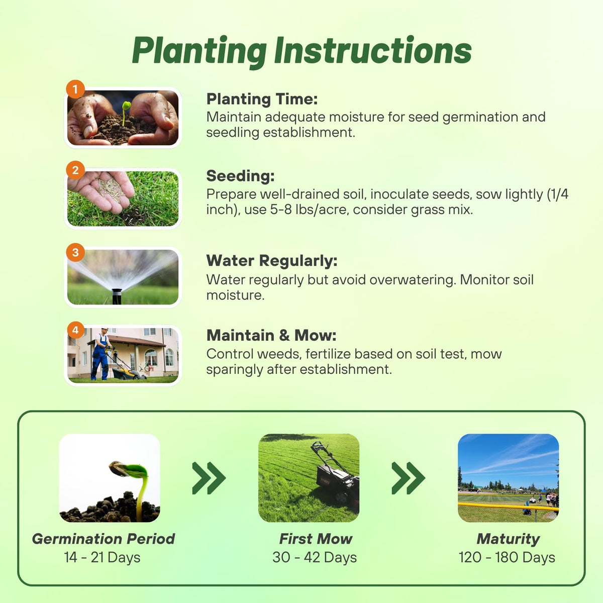Outsidepride winter-hardy-legume endures cold seasons for dependable grazing.