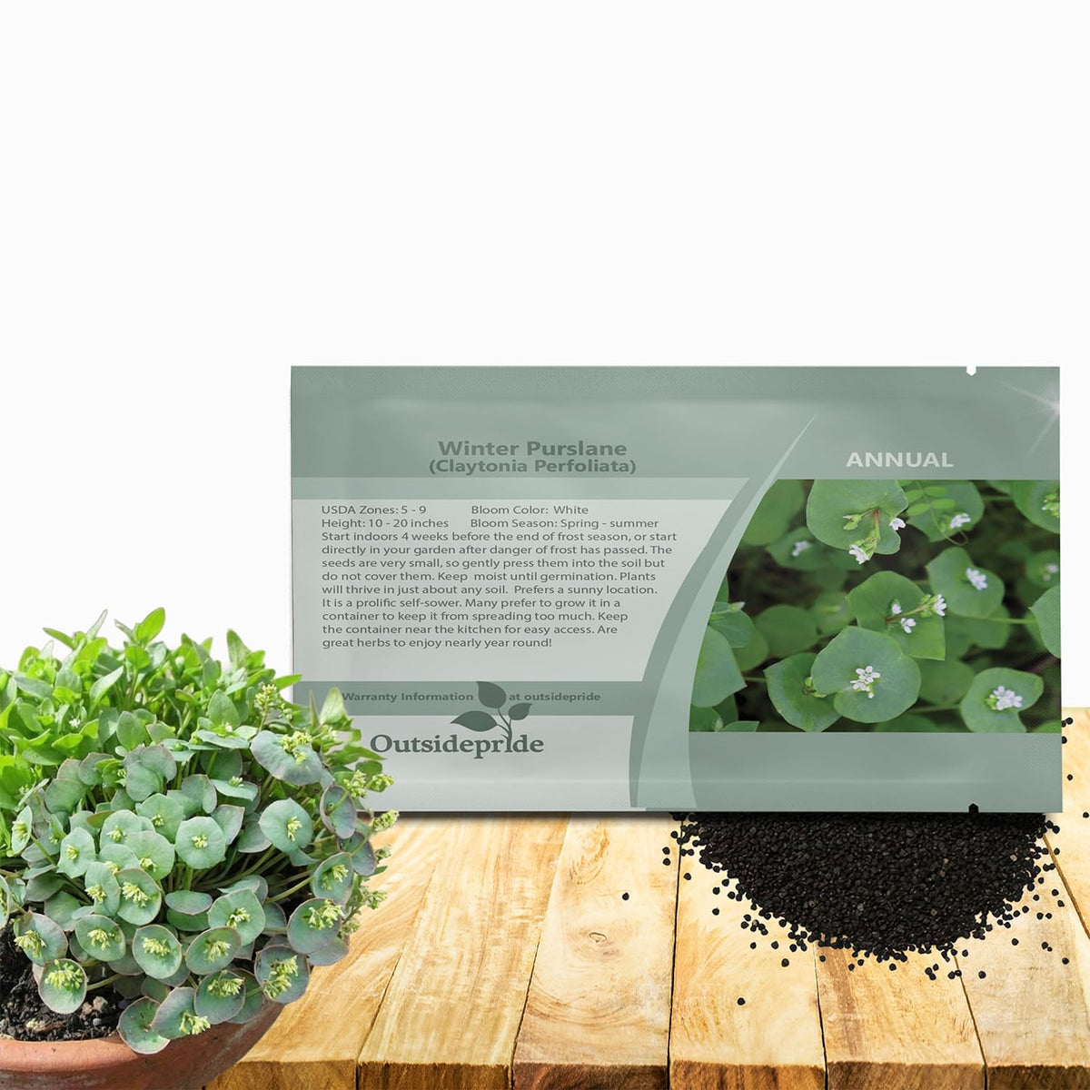 Outsidepride Winter Purslane seeds packaging, ready for easy planting.
