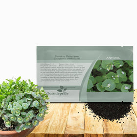 Outsidepride Winter Purslane seeds packaging, ready for easy planting.