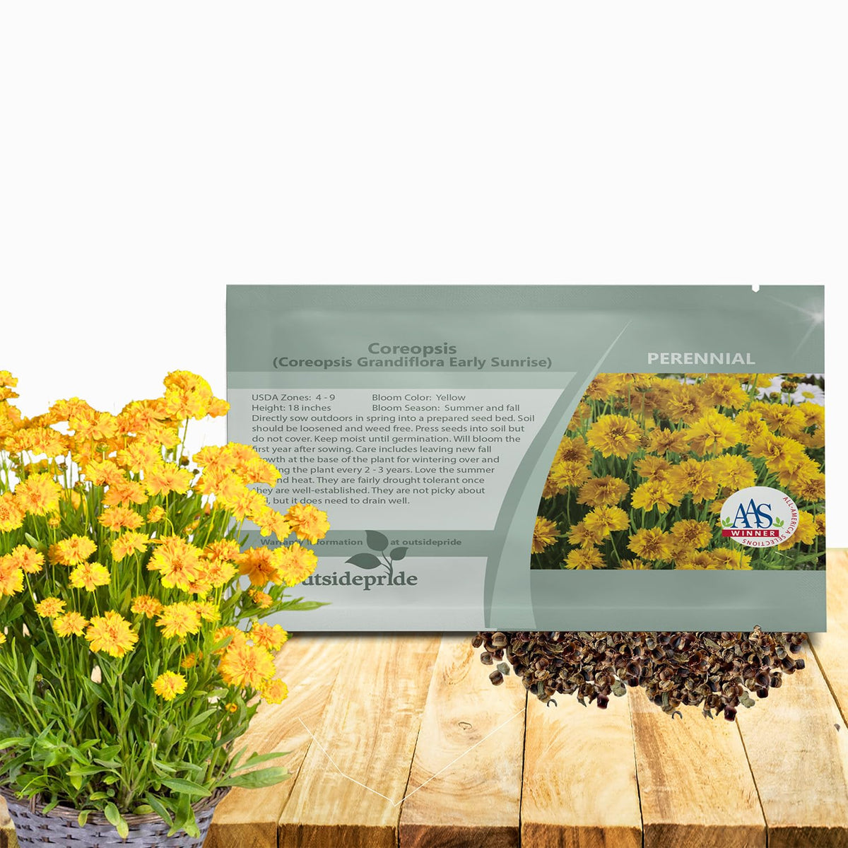 Outsidepride Yellow Early Sunrise Coreopsis seed packet adds bright border color