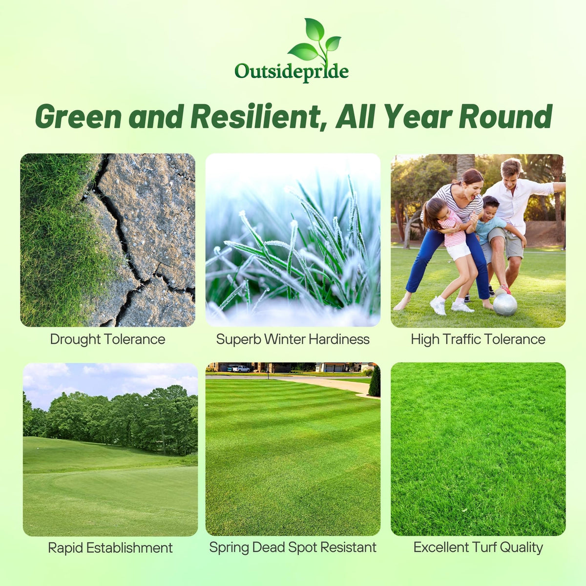 Outsidepride Yukon Bermuda seed field turf shows dense lawn for high-traffic areas.