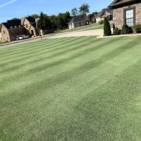 Outsidepride Yukon Bermuda seed ideal for busy lawns with high-traffic durability