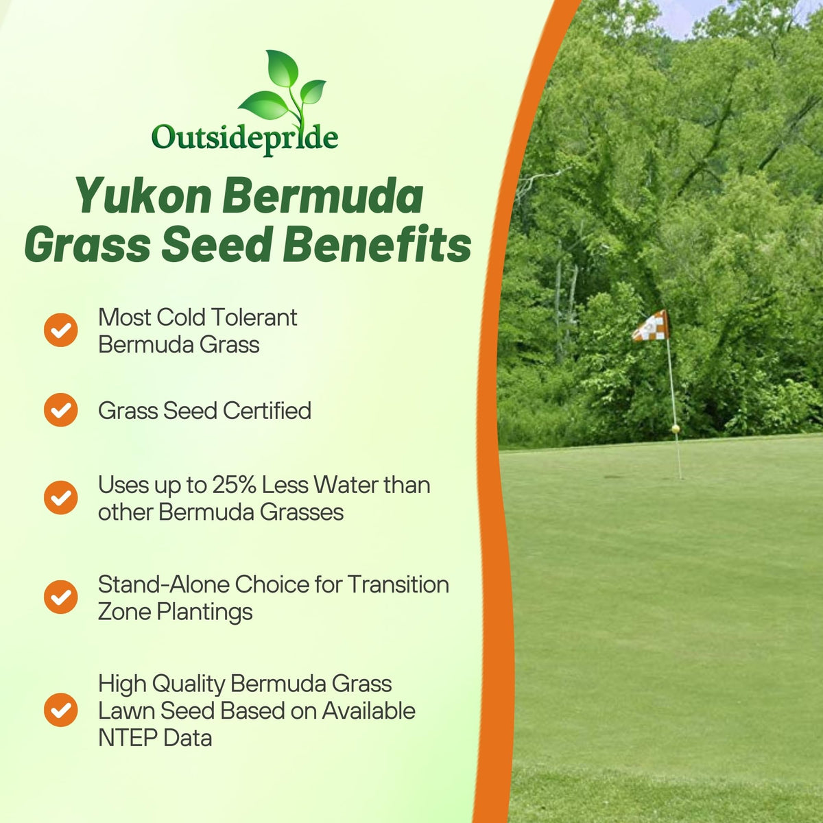 Outsidepride Yukon Bermuda seed lawn application demonstrates versatile use