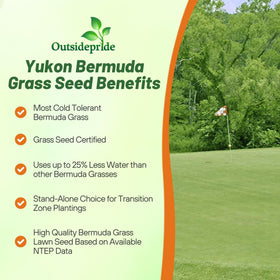 Outsidepride Yukon Bermuda seed spring greenup highlights early-season color and growth.