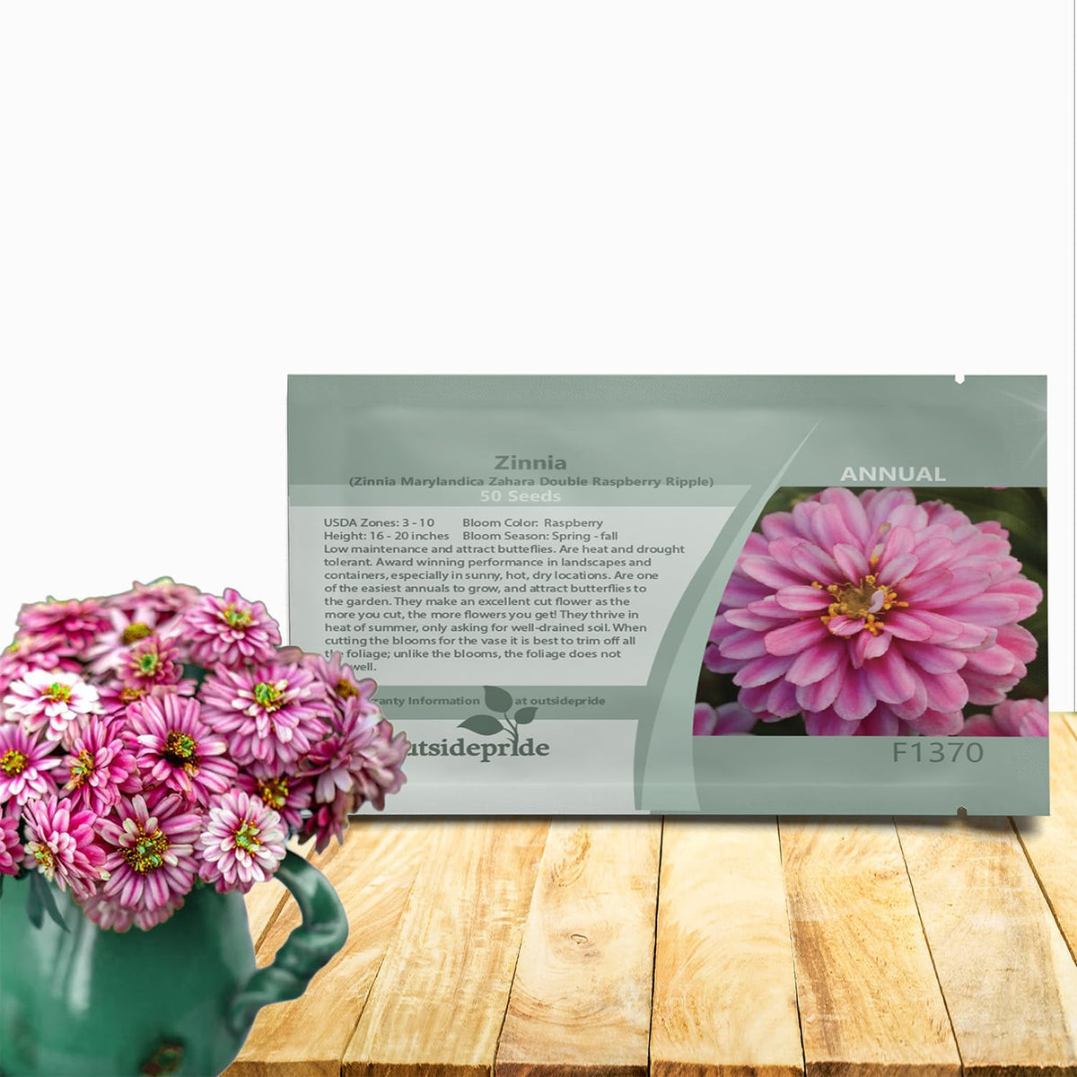 Outsidepride Zahara Double Raspberry Ripple Zinnia seeds for vibrant sun filled beds