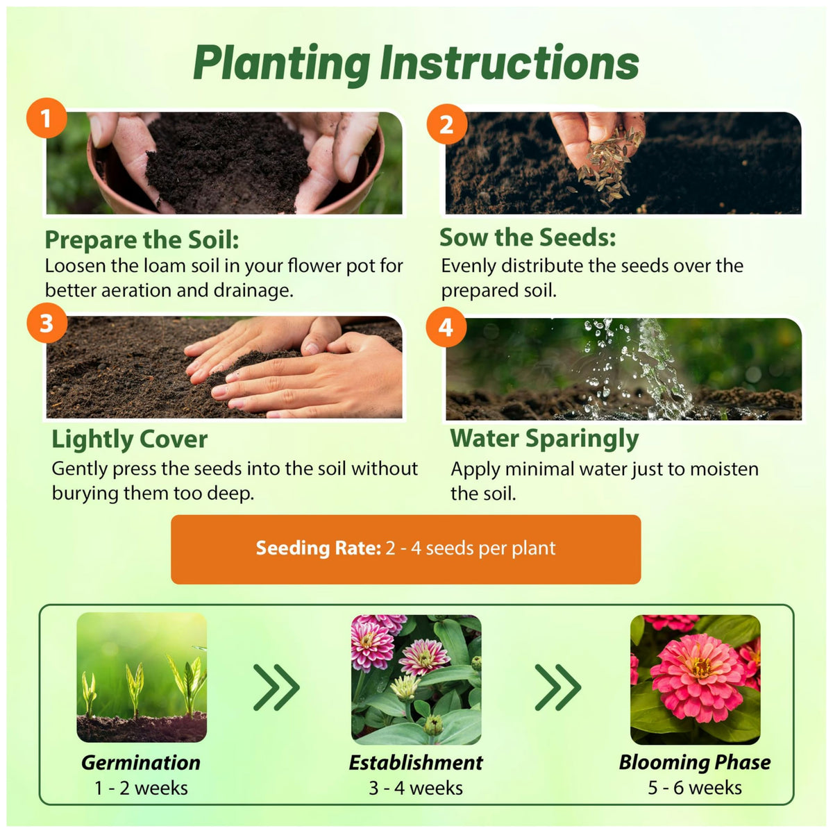 Outsidepride Zahara Double Raspberry Ripple Zinnia attracts pollinators in garden