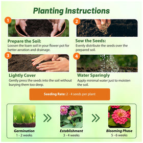 Outsidepride Zahara Double Raspberry Ripple Zinnia attracts pollinators in garden