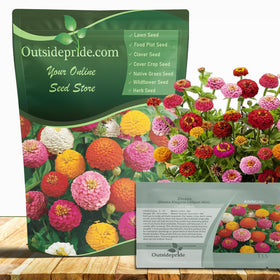 Outsidepride Zinnia Seeds ball-shaped blooms bring vibrant color to borders and containers