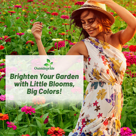 Outsidepride Zinnia Seeds border-display color for sunny garden borders