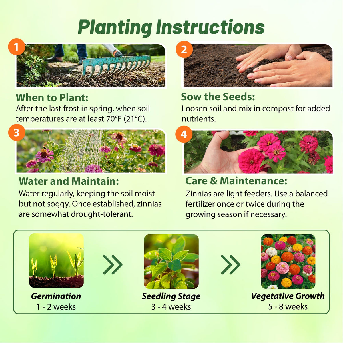 Outsidepride Zinnia Seeds container-garden display adds seasonal color