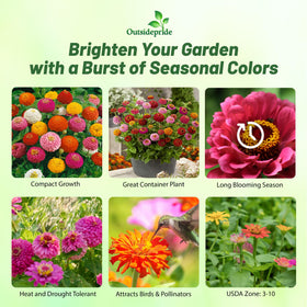 Outsidepride Zinnia Seeds mixed colors create bright, pollinator-friendly garden beds