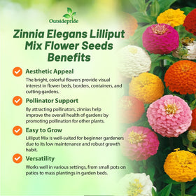 Outsidepride Zinnia Seeds pollinator-friendly space attracts butterflies and hummingbirds