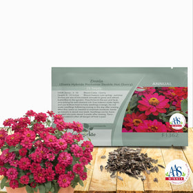 Outsidepride zinnia seeds profusion double hot cherry bloom adding bold garden color