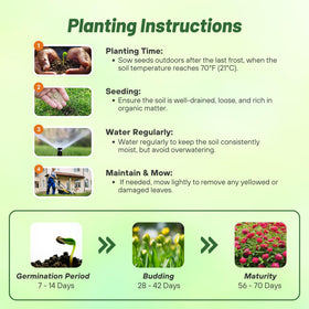 Outsidepride zinnia seeds attracting pollinators in outdoor spaces