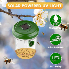 Outtkitywi Wasp Trap 3-pack ready for use in yard