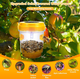 Outtkitywi Wasp Trap solar LED cap attracting insects at dusk