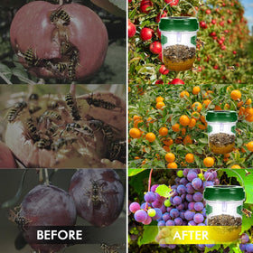 Outtkitywi Wasp Trap yellow-green color for high visibility outdoors