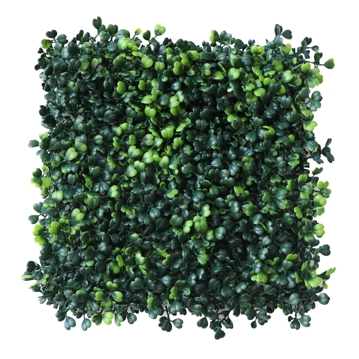 ouyuanwall grass wall panel close-up texture showing dense greenery for a realistic indoor backdrop