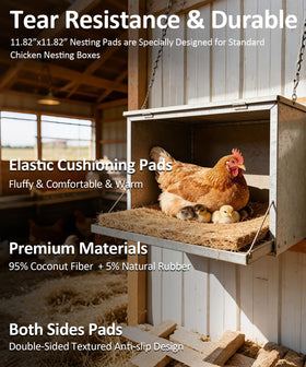 OVESD biodegradable bedding made from coconut coir supports eco-friendly coop.