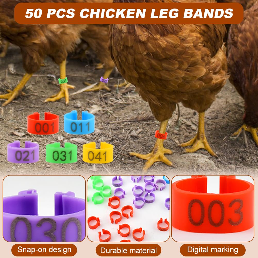 Ovrimelle support aids feather regrowth for injured hens