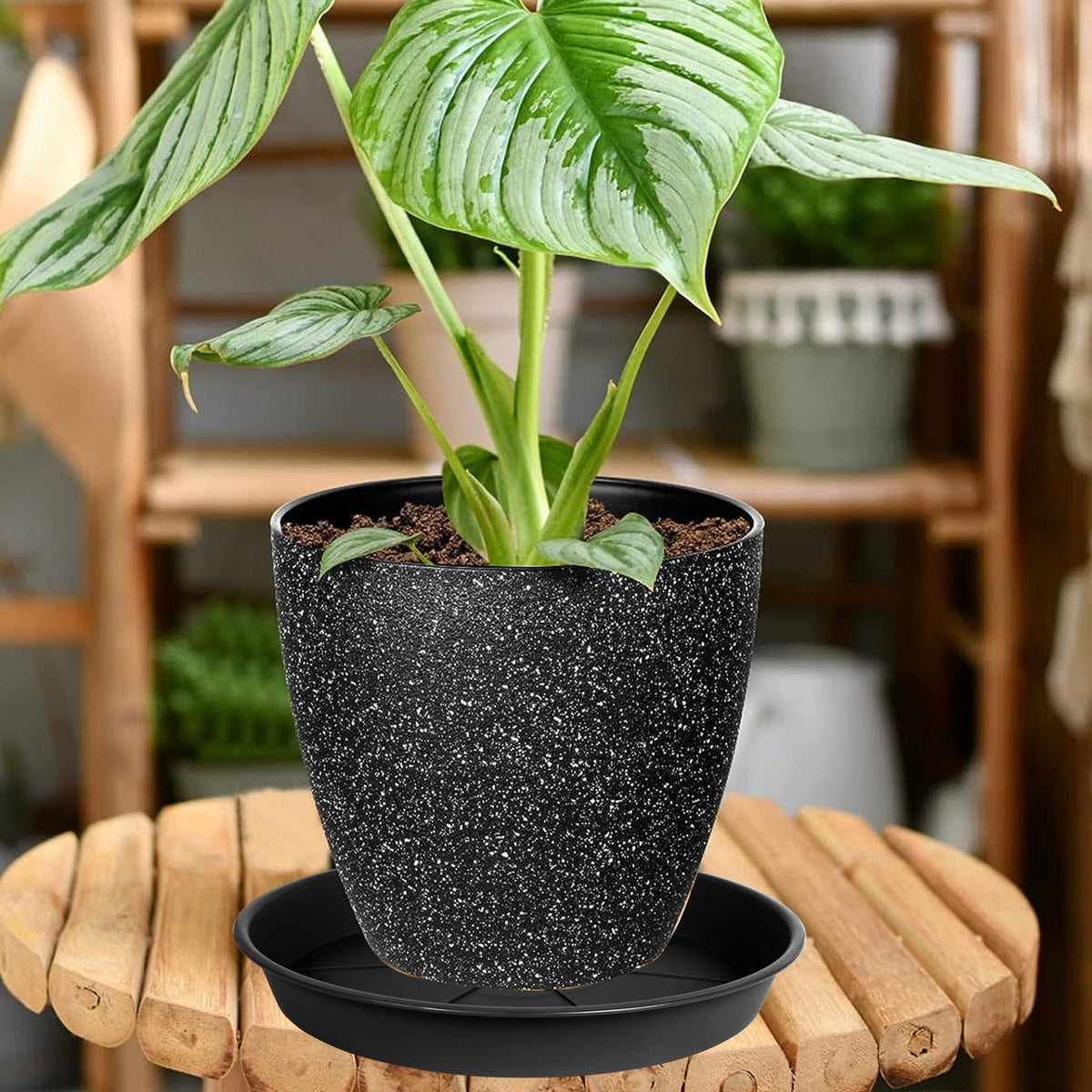 ovzilki 2-pack plant saucers for 14-inch pots