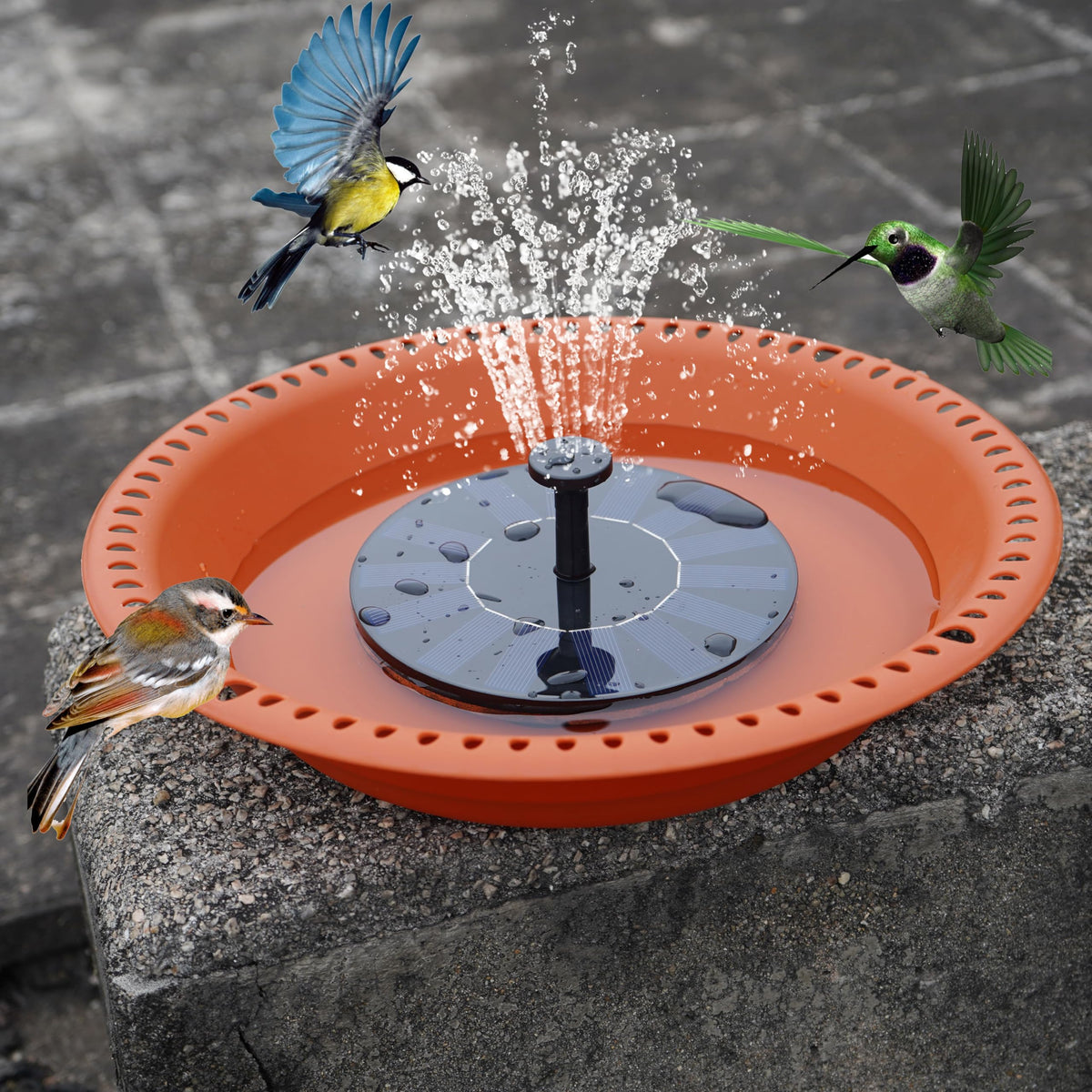 OVZILKI BirdBath lightweight design makes moving it easy to new spots.