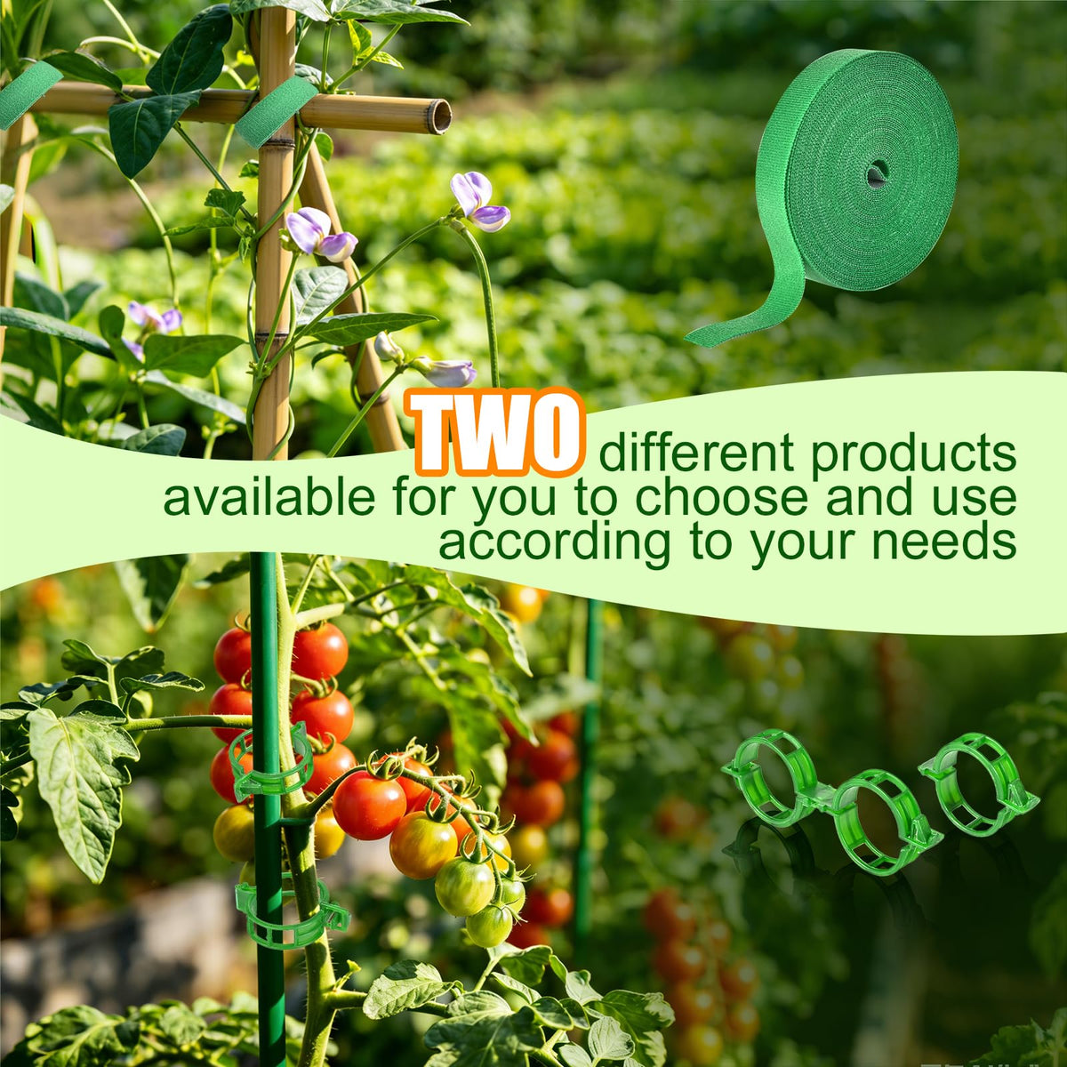 Owandan vertical garden setup demonstrates tidy stems and secure connections.